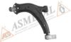 ASMETAL 30PE1011 Track Control Arm